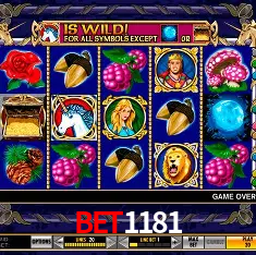 BET1181 Brasília - VIP Program
